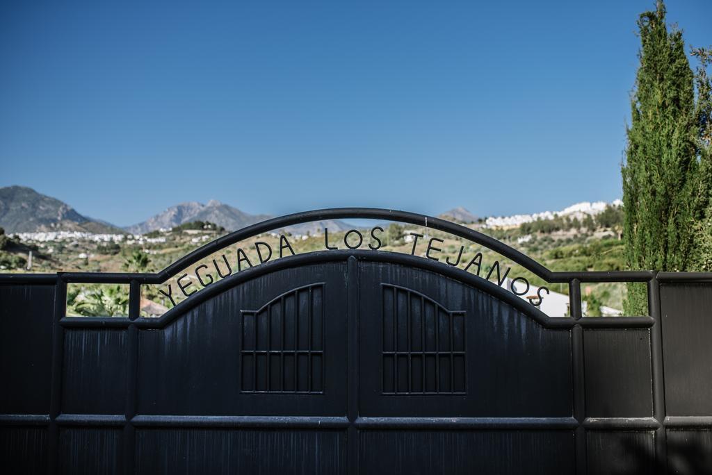La Perla De Frigiliana Bed & Breakfast Deluxe Extérieur photo